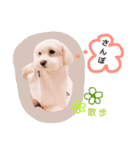 BuBu's Lifestyle（個別スタンプ：16）