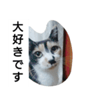SUMISHIRO4（個別スタンプ：10）