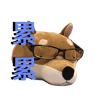 won won A-go（個別スタンプ：5）