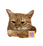 Money boss（個別スタンプ：2）