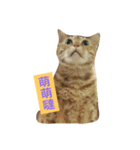 Money boss（個別スタンプ：4）
