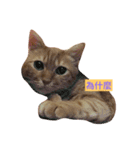 Money boss（個別スタンプ：6）