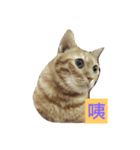 Money boss（個別スタンプ：7）