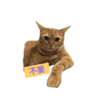 Money boss（個別スタンプ：8）