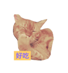 Money boss（個別スタンプ：14）