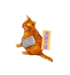 Money boss（個別スタンプ：15）