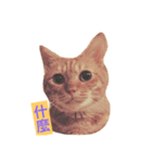 Money boss（個別スタンプ：16）