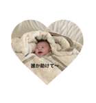らいき専用スタンプ（個別スタンプ：5）