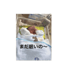 らいき専用スタンプ（個別スタンプ：18）