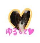 面被りの姫vol.2（個別スタンプ：6）