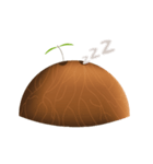 CoconutMilk（個別スタンプ：5）