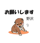 野沢さんが使う名前スタンプ・子犬イラスト（個別スタンプ：1）