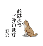 野沢さんが使う名前スタンプ・子犬イラスト（個別スタンプ：17）