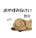 野沢さんが使う名前スタンプ・子犬イラスト（個別スタンプ：21）