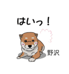 野沢さんが使う名前スタンプ・子犬イラスト（個別スタンプ：22）