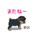 野沢さんが使う名前スタンプ・子犬イラスト（個別スタンプ：23）
