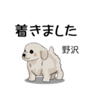 野沢さんが使う名前スタンプ・子犬イラスト（個別スタンプ：27）