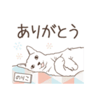 猫大好き【のりこ】北欧風名前スタンプ（個別スタンプ：10）