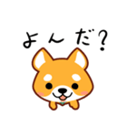 小次郎withすしねこ（個別スタンプ：38）