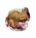 lovely rabbit love（個別スタンプ：8）