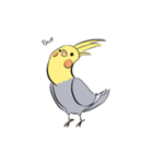 Silly Cockatiel Stickers（個別スタンプ：2）