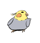 Silly Cockatiel Stickers（個別スタンプ：3）