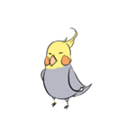 Silly Cockatiel Stickers（個別スタンプ：7）