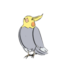 Silly Cockatiel Stickers（個別スタンプ：9）