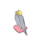 Silly Cockatiel Stickers（個別スタンプ：11）