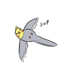 Silly Cockatiel Stickers（個別スタンプ：14）