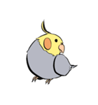 Silly Cockatiel Stickers（個別スタンプ：16）