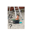 family0004（個別スタンプ：8）