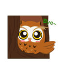 Lovely Owl Daily（個別スタンプ：15）