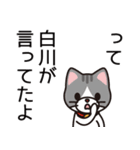 白川さんと白川さんの友達専用（個別スタンプ：40）