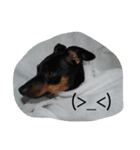 NIGHT 888（個別スタンプ：7）
