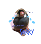 sakurabuntyoupu-（個別スタンプ：3）