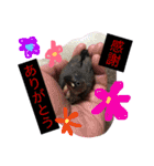 sakurabuntyoupu-（個別スタンプ：7）