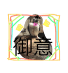sakurabuntyoupu-（個別スタンプ：8）