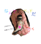 sakurabuntyoupu-（個別スタンプ：9）