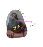 sakurabuntyoupu-（個別スタンプ：10）