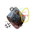 sakurabuntyoupu-（個別スタンプ：13）