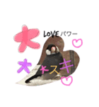 sakurabuntyoupu-（個別スタンプ：21）