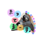 sakurabuntyoupu-（個別スタンプ：24）