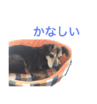 高橋もも（個別スタンプ：24）