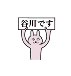 谷川さん 名字スタンプ（個別スタンプ：1）