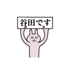 谷田さん 名字スタンプ（個別スタンプ：1）