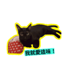 面白い黒い猫（個別スタンプ：1）