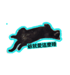 面白い黒い猫（個別スタンプ：2）