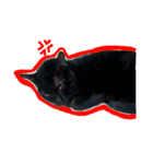 面白い黒い猫（個別スタンプ：3）