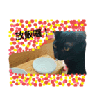 面白い黒い猫（個別スタンプ：6）
